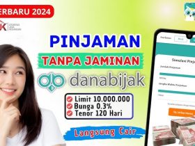 Pinjaman Online Dana Bijak Solusi Praktis untuk Kebutuhan Finansial