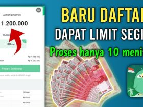 Pinjaman Online dengan PinjamanGo Solusi Cepat Untuk Kebutuhan Anda