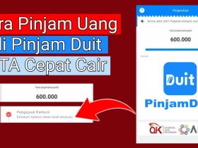 PinjamDuit Solusi Pinjaman Online Cepat Cair